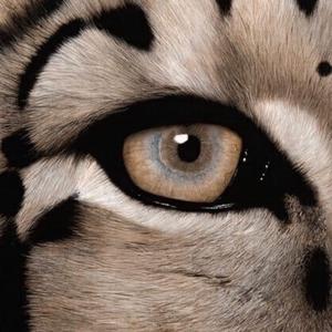 护士黑丝袜美女日本性爱视频
